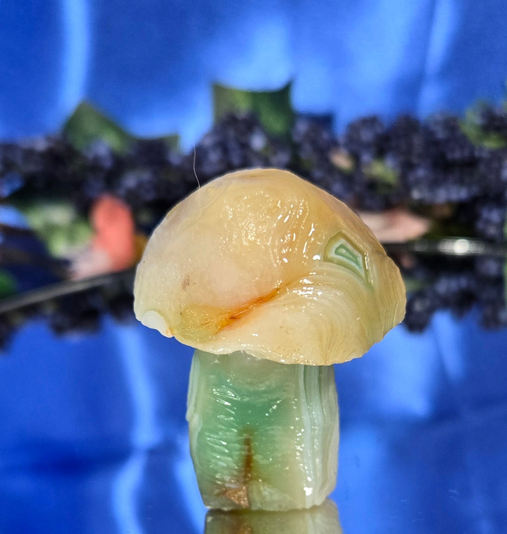GOBI MUSHROOM AGATE