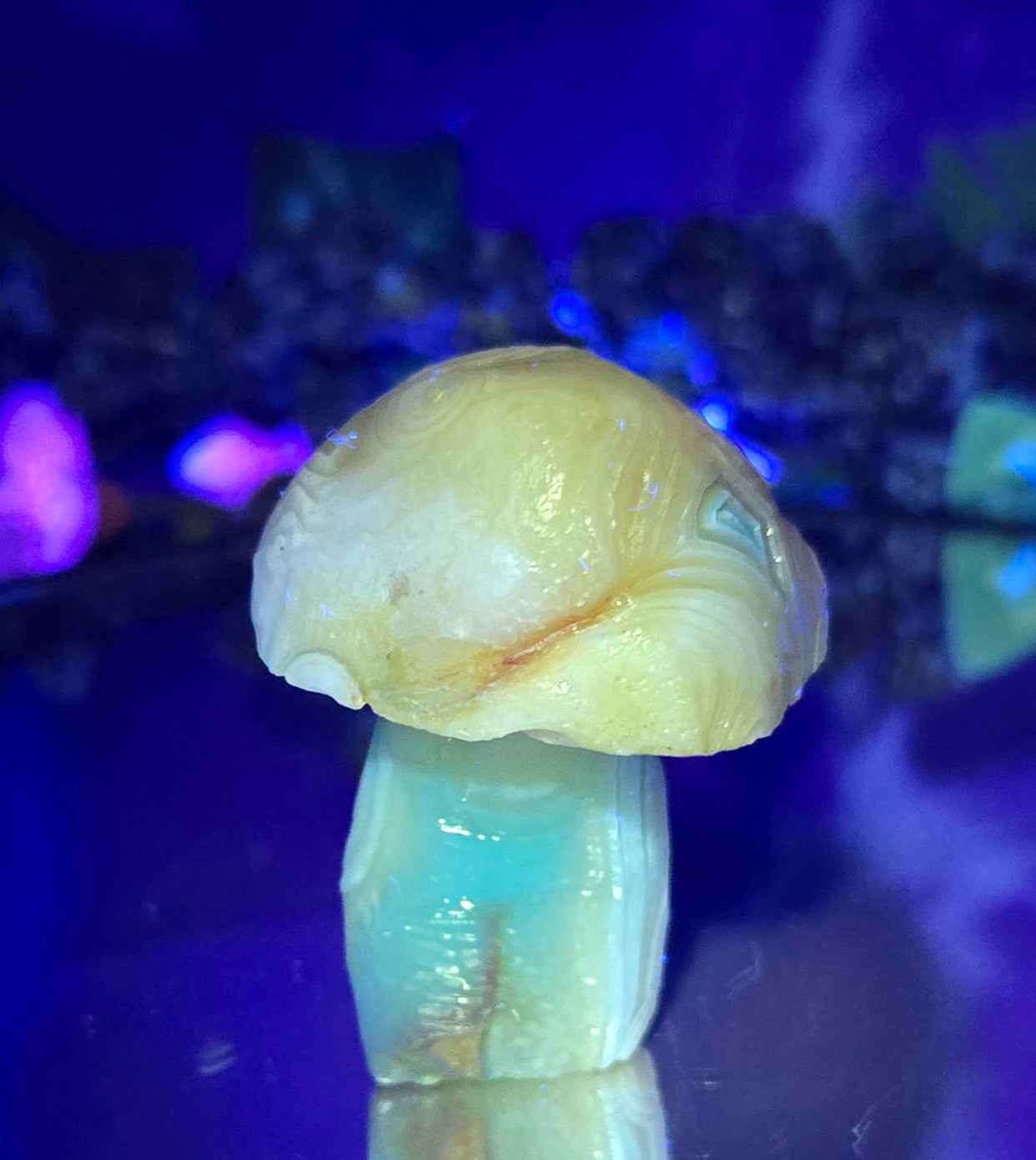 GOBI MUSHROOM AGATE