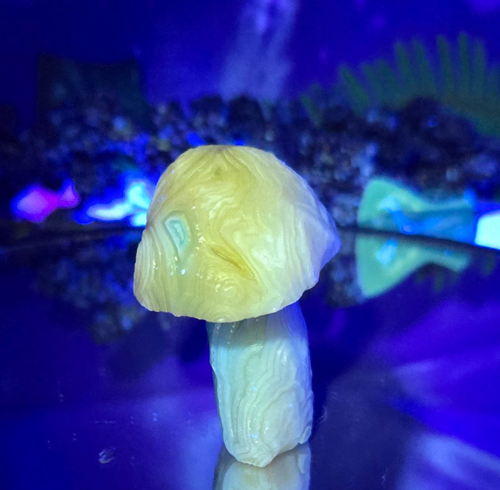 GOBI MUSHROOM AGATE