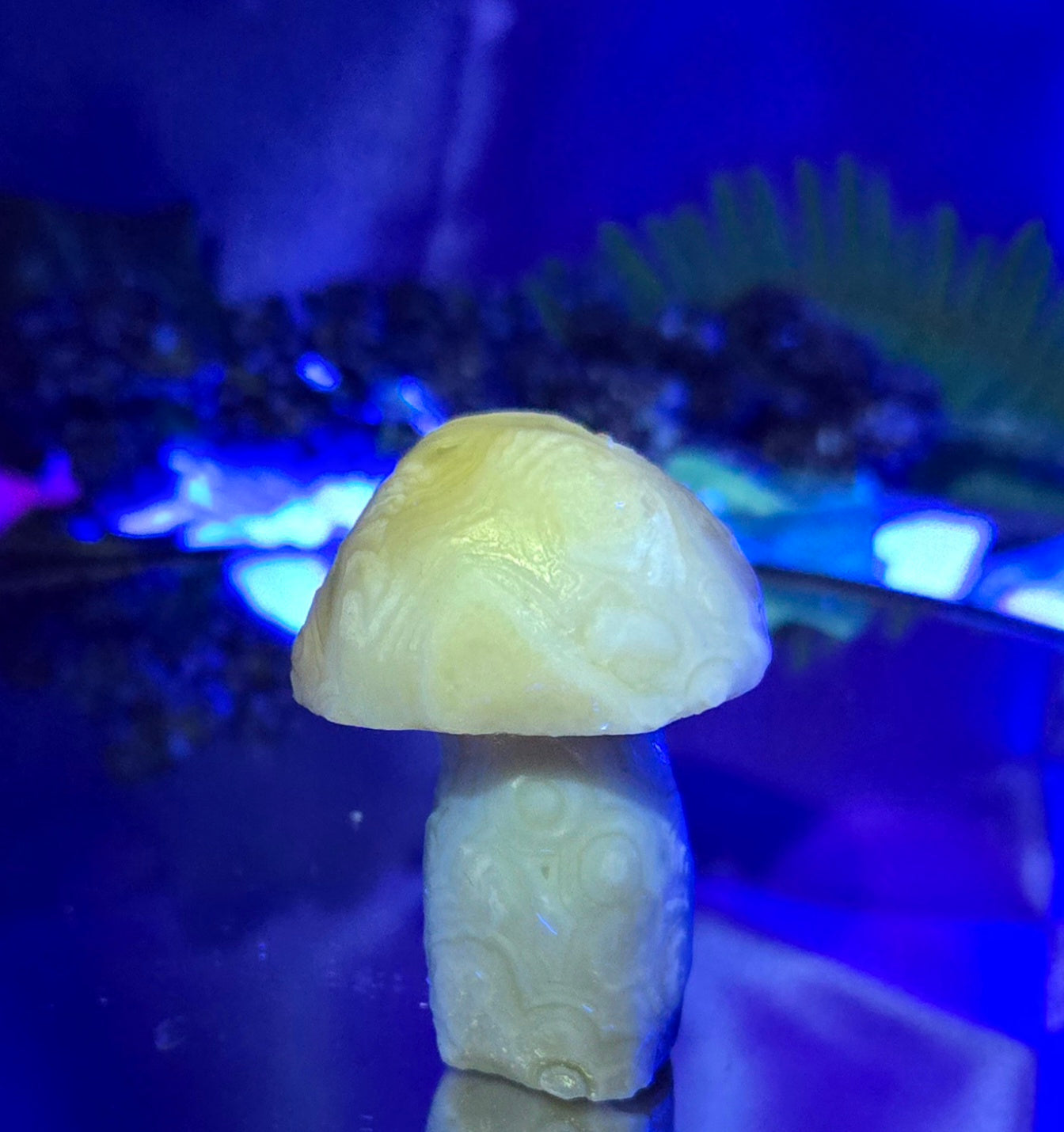 GOBI MUSHROOM AGATE