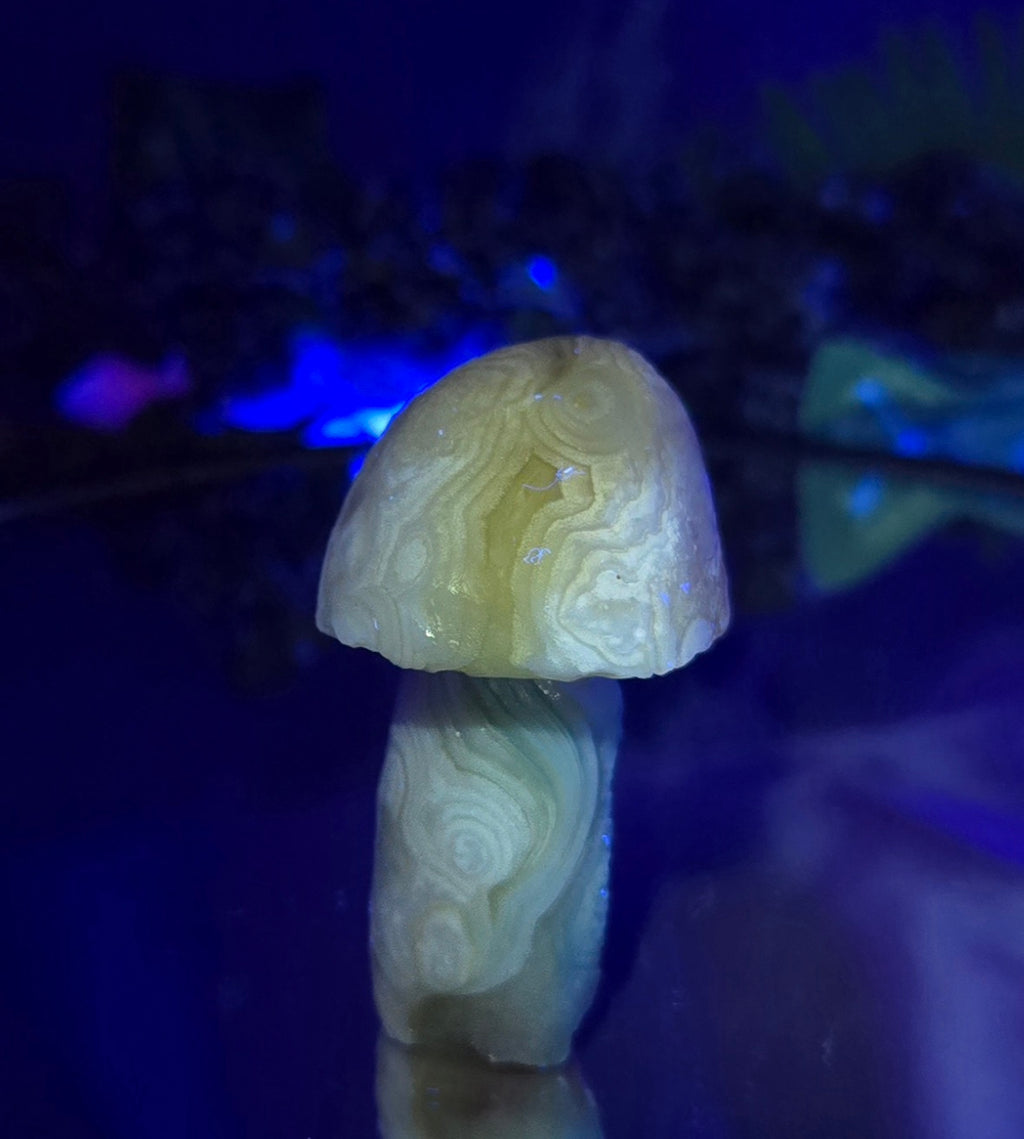 GOBI MUSHROOM AGATE