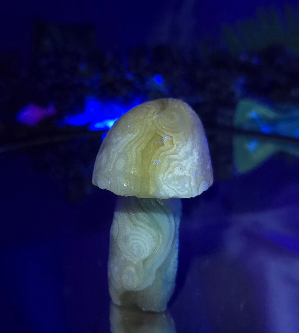 GOBI MUSHROOM AGATE