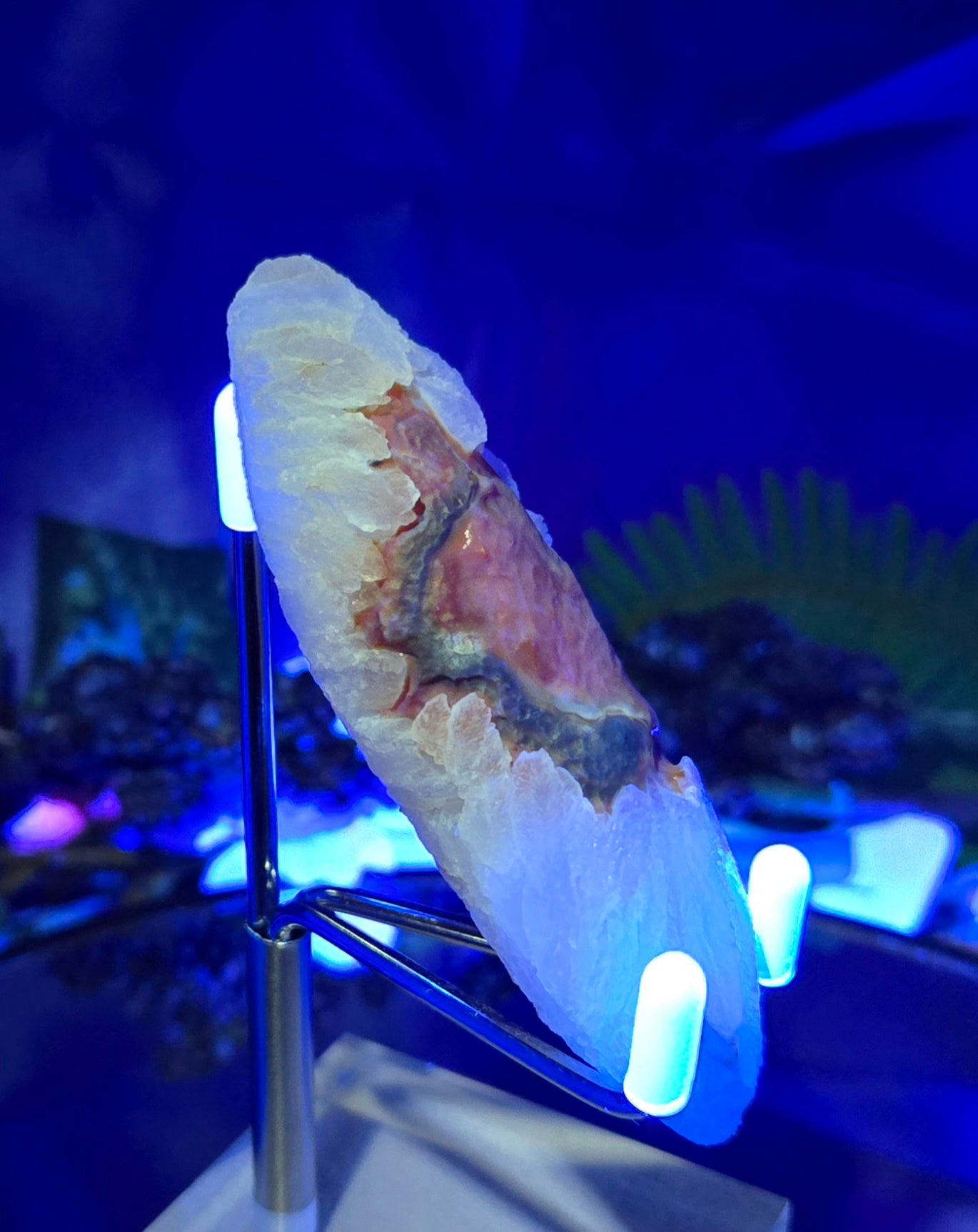 GOBI FINGER AGATE