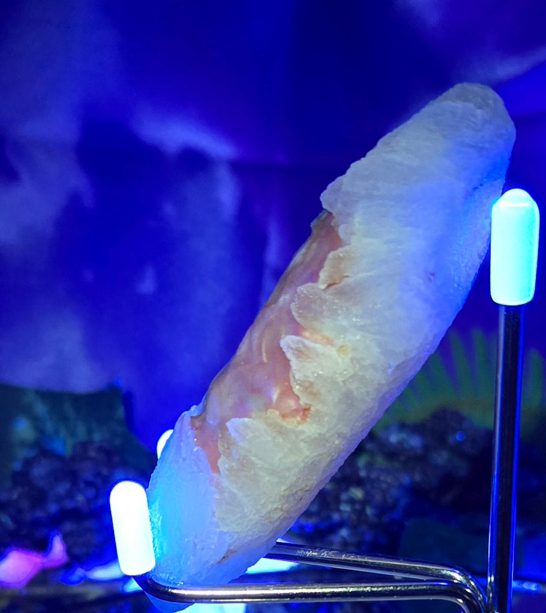 GOBI FINGER AGATE