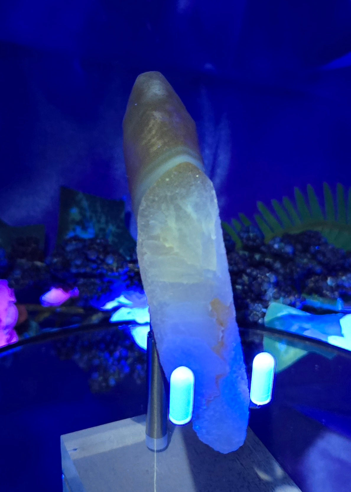 GOBI FINGER AGATE
