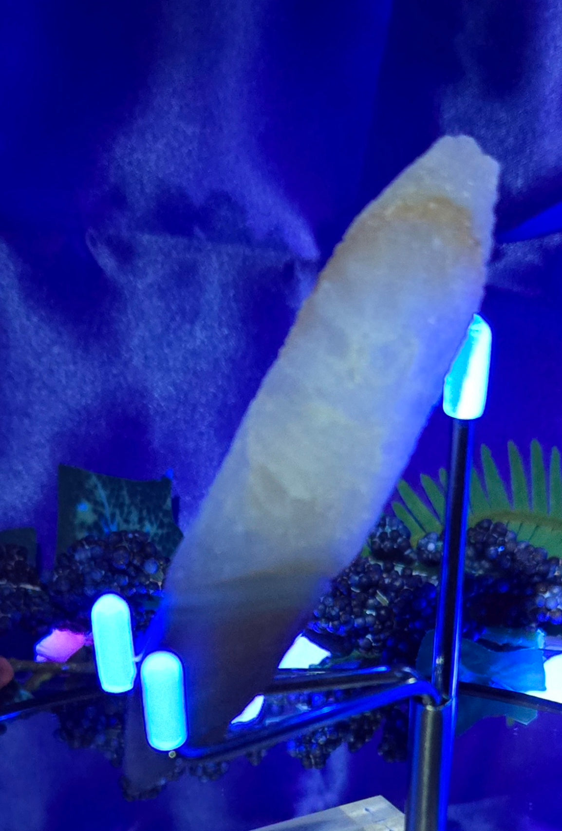 GOBI FINGER AGATE