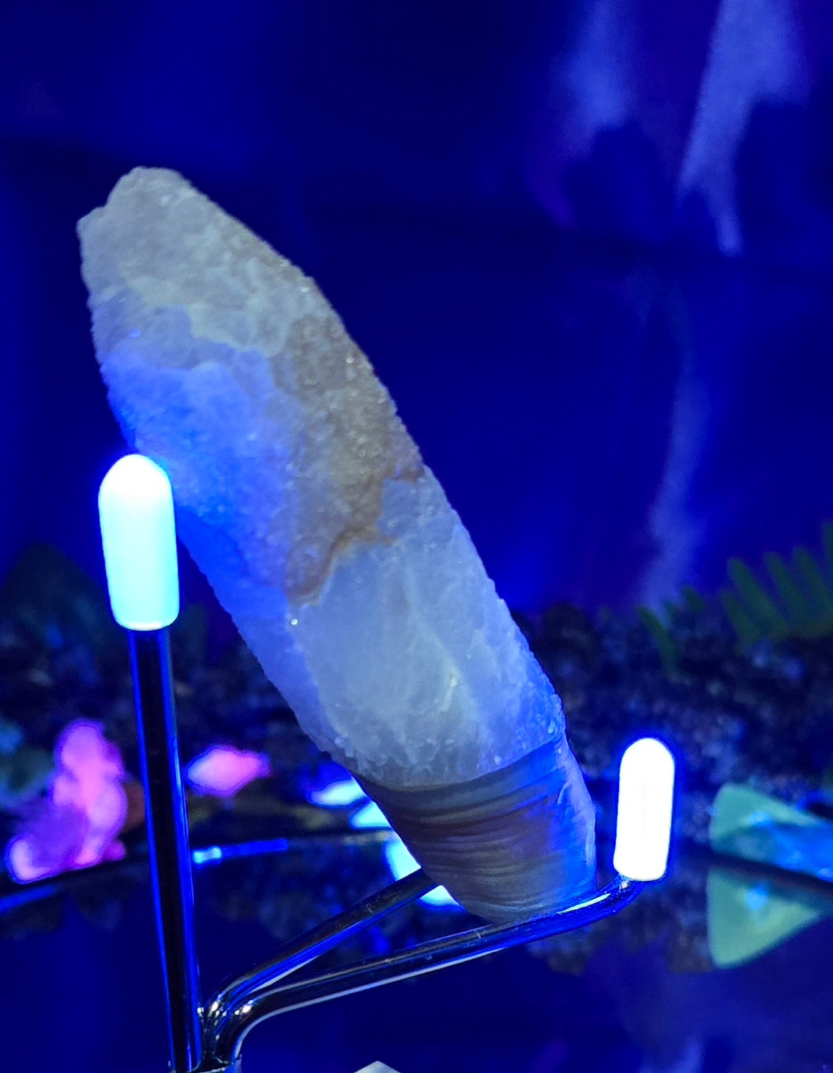 GOBI FINGER AGATE