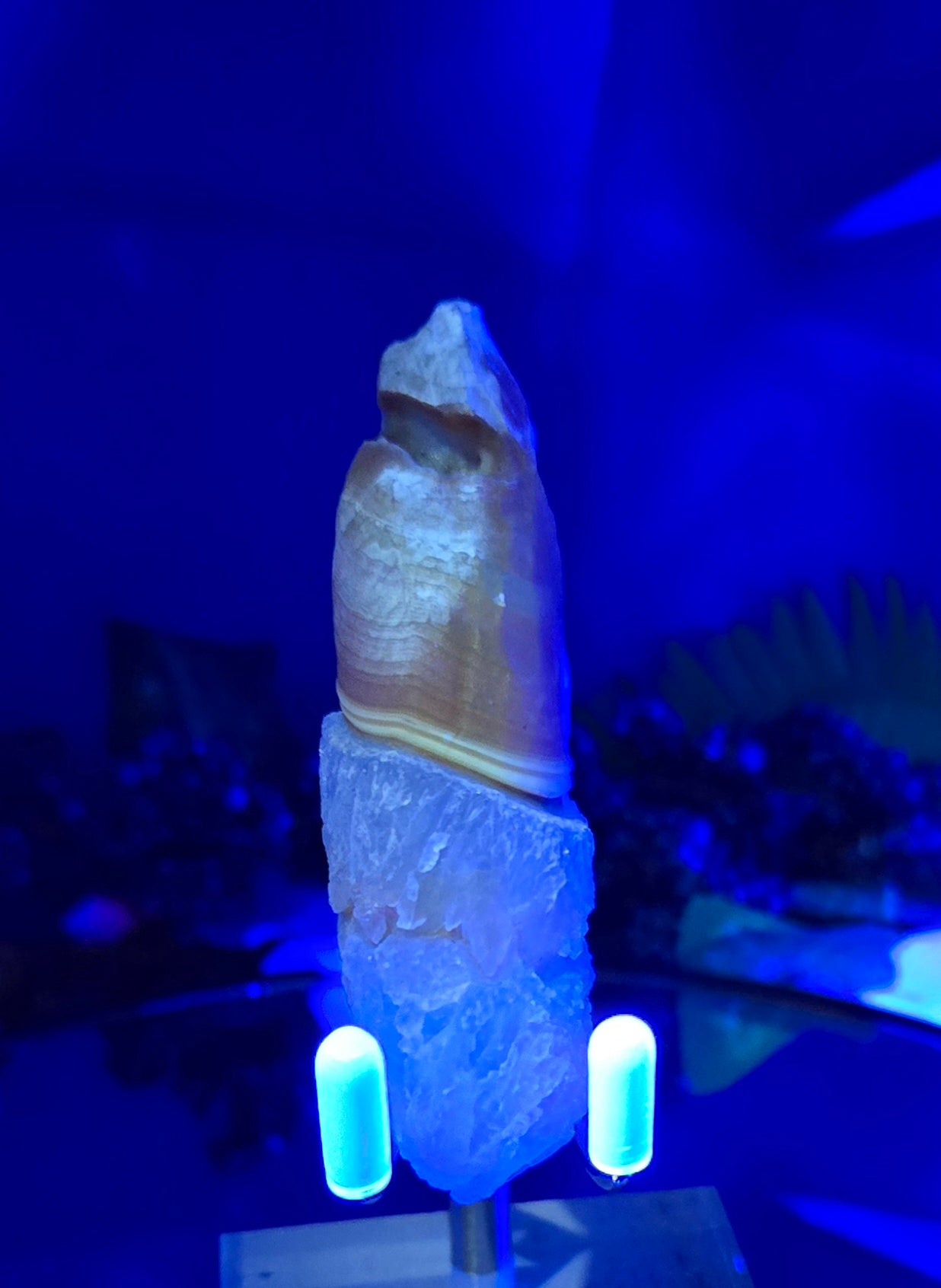 GOBI FINGER AGATE