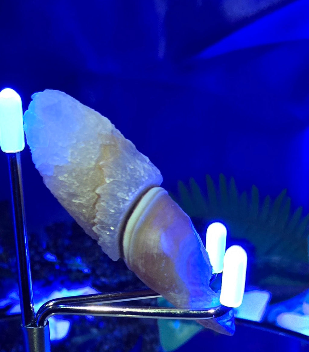 GOBI FINGER AGATE
