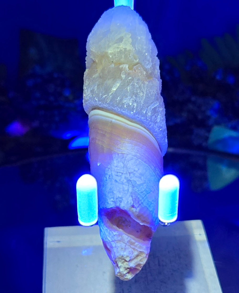 GOBI FINGER AGATE