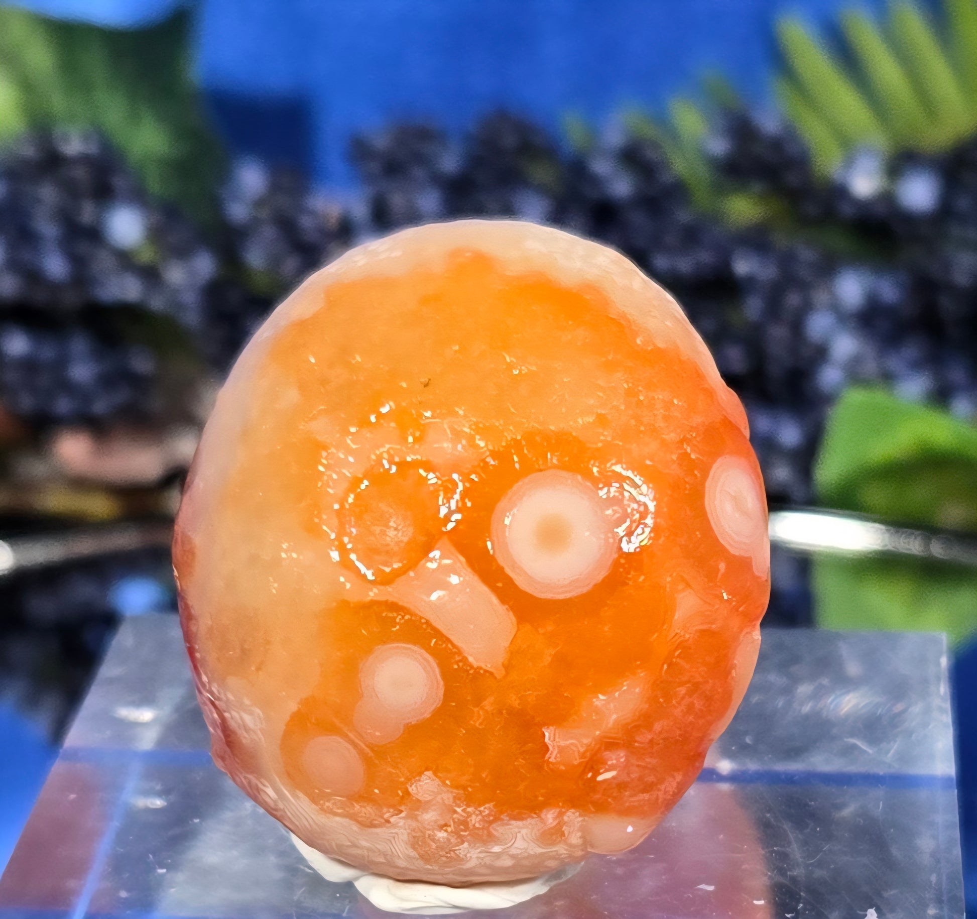GOBI AGATE