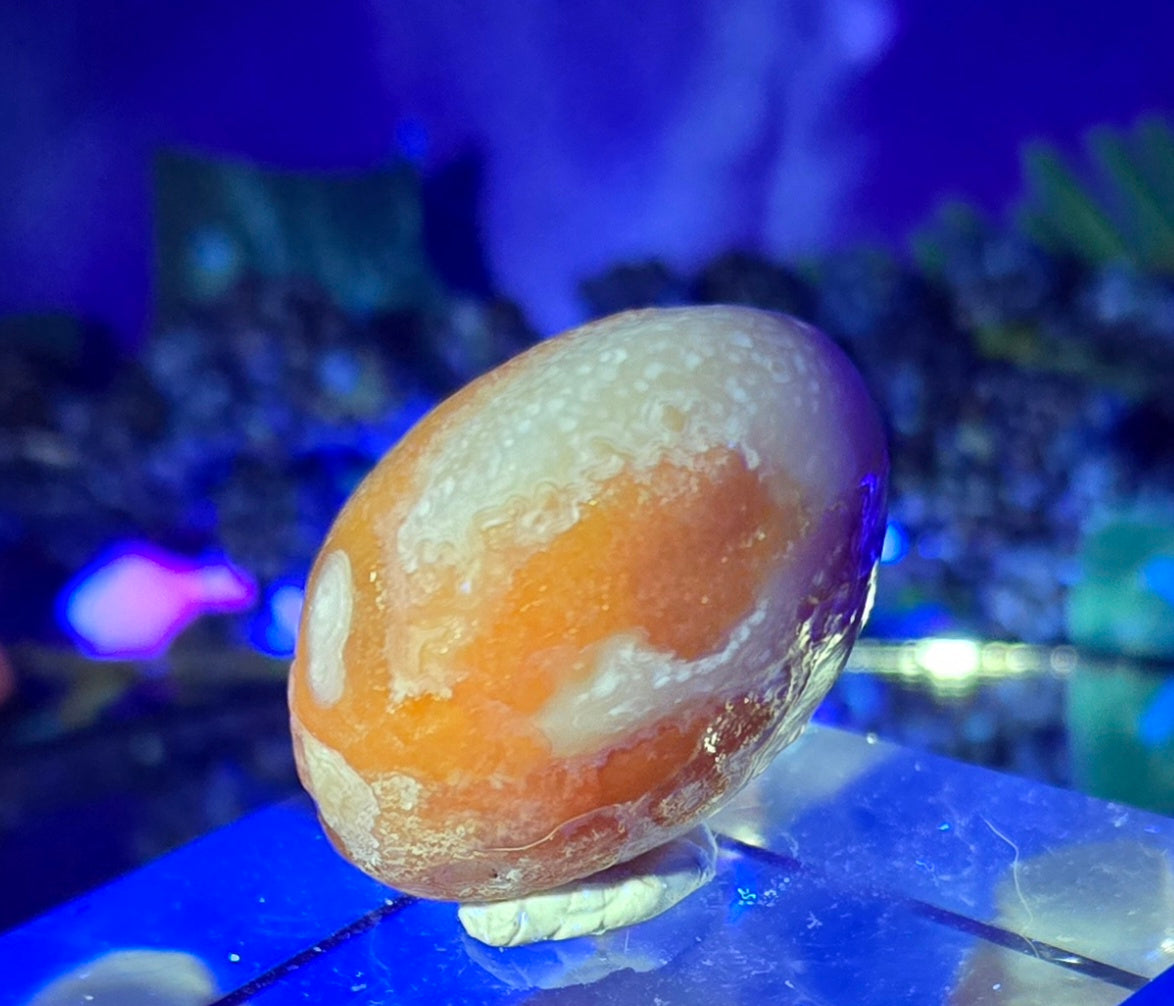 GOBI AGATE