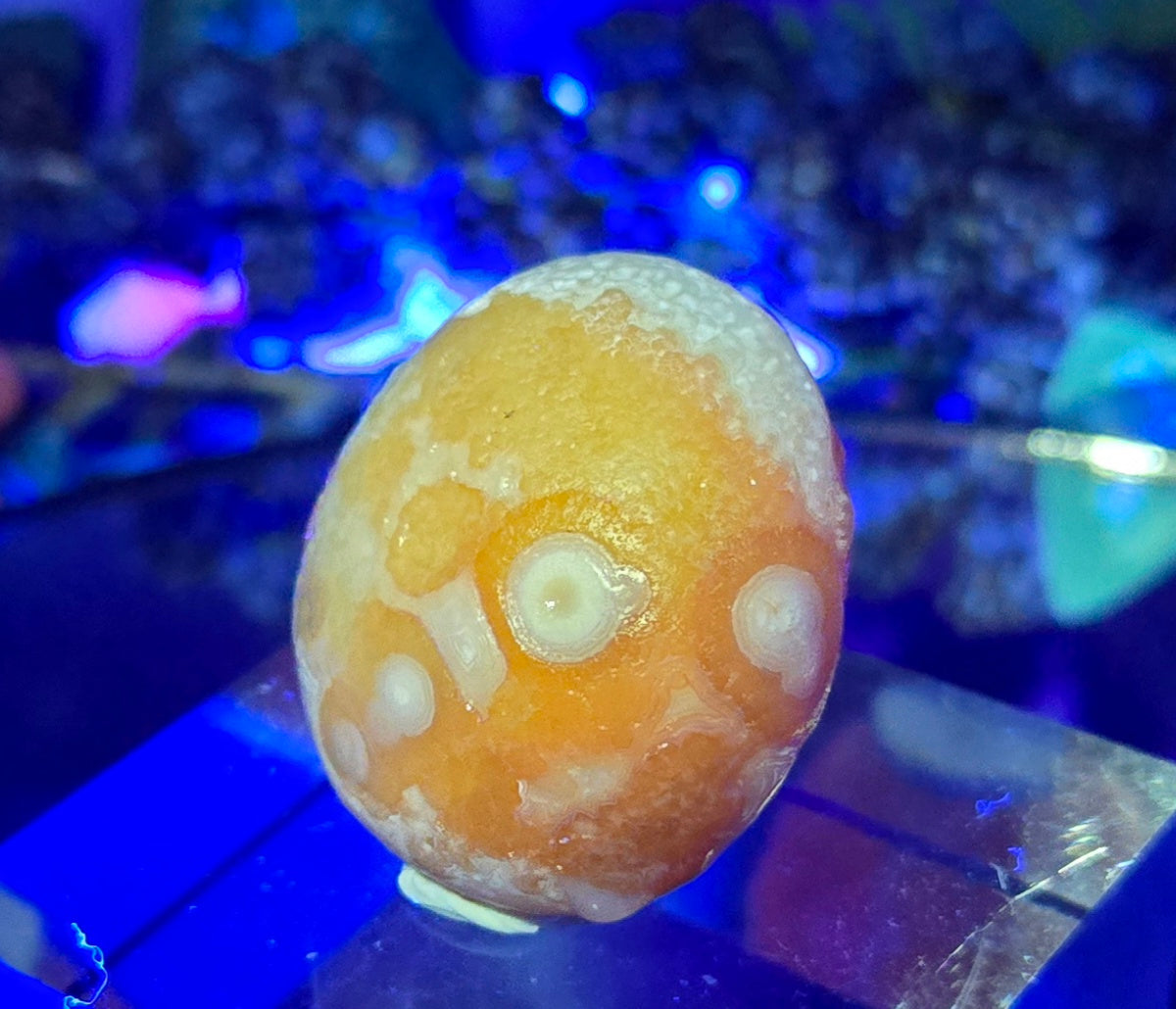 GOBI AGATE