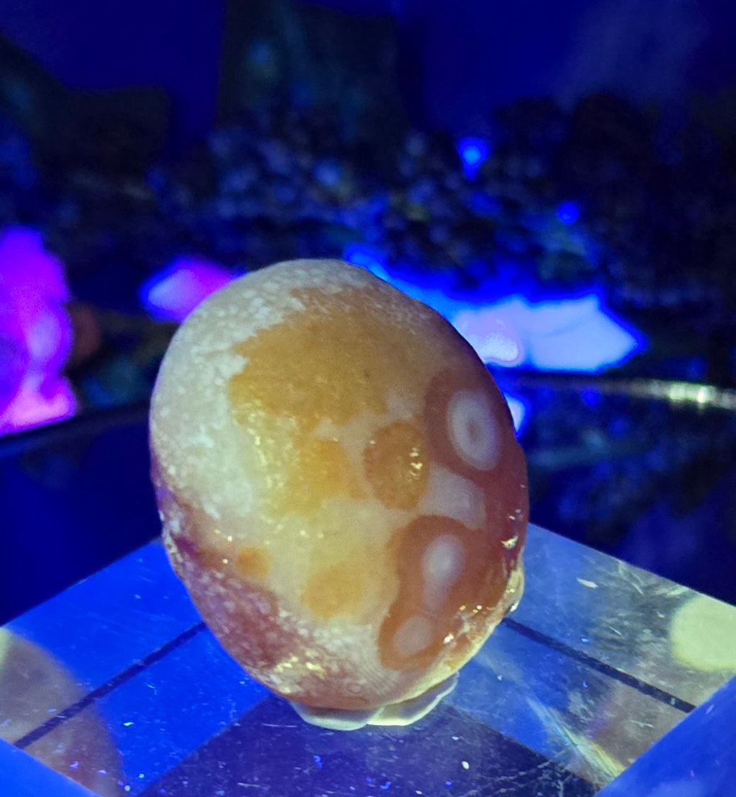 GOBI AGATE