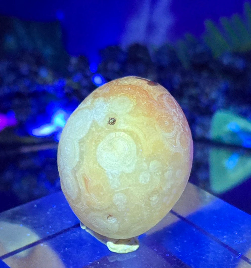 GOBI AGATE