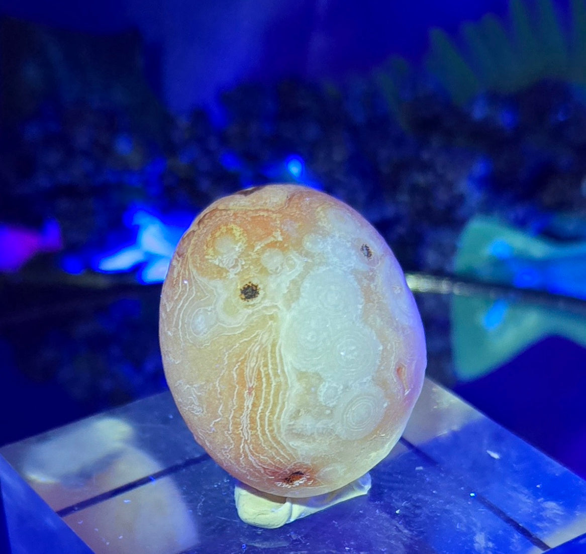 GOBI AGATE