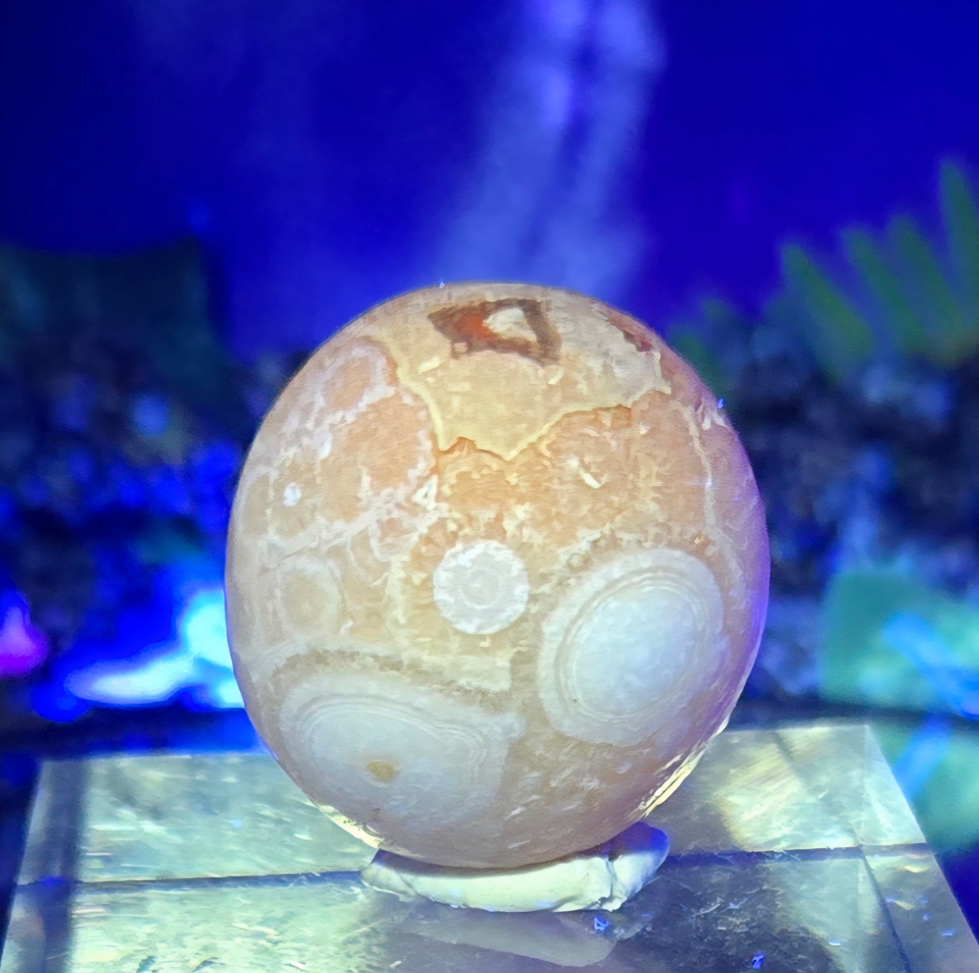 GOBI AGATE