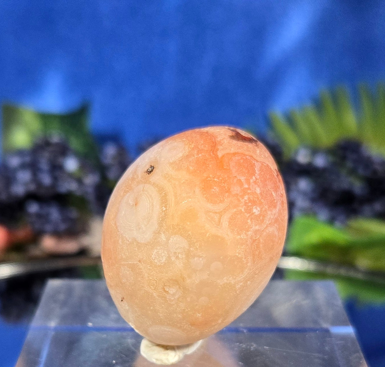 GOBI AGATE