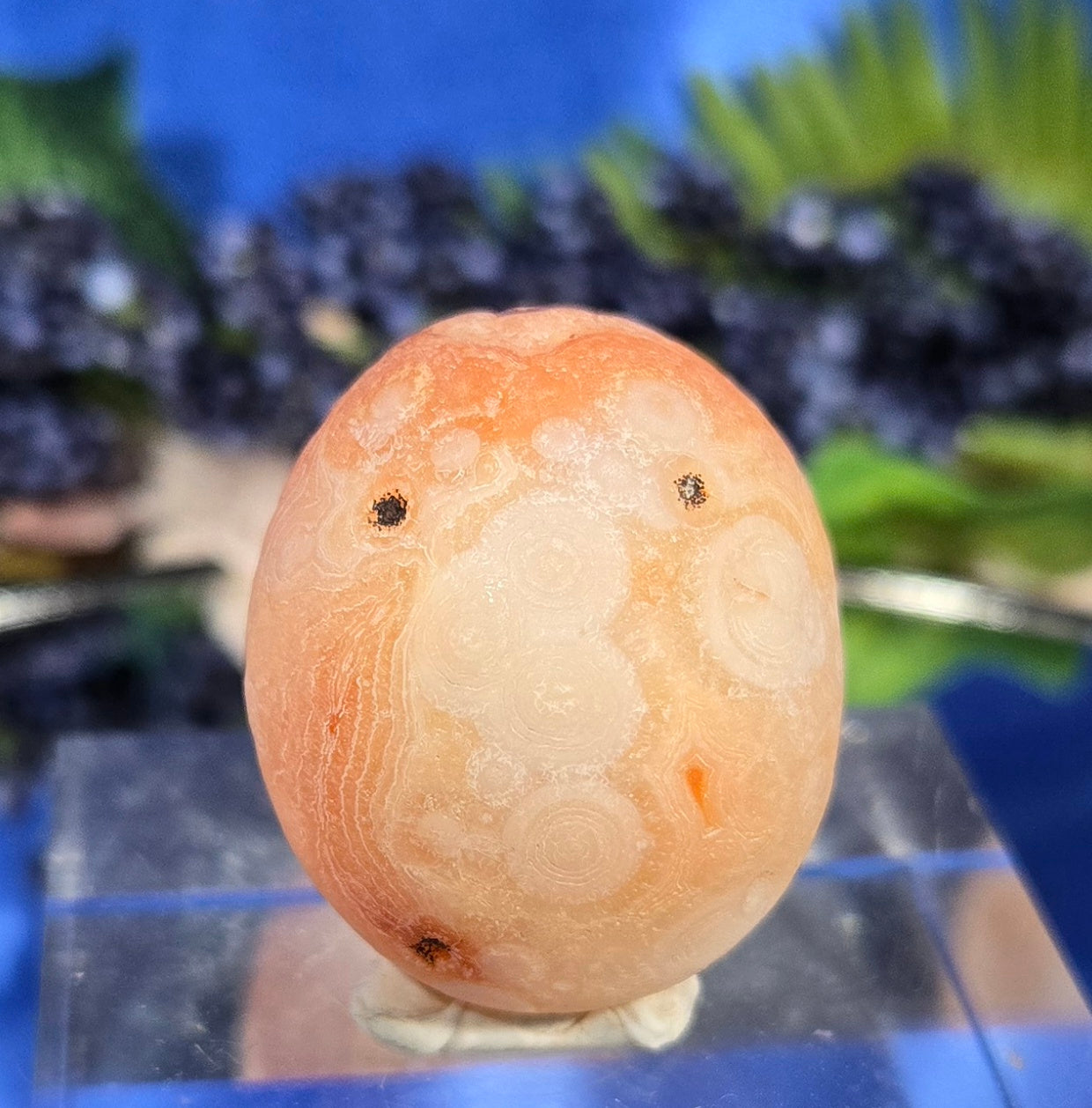 GOBI AGATE