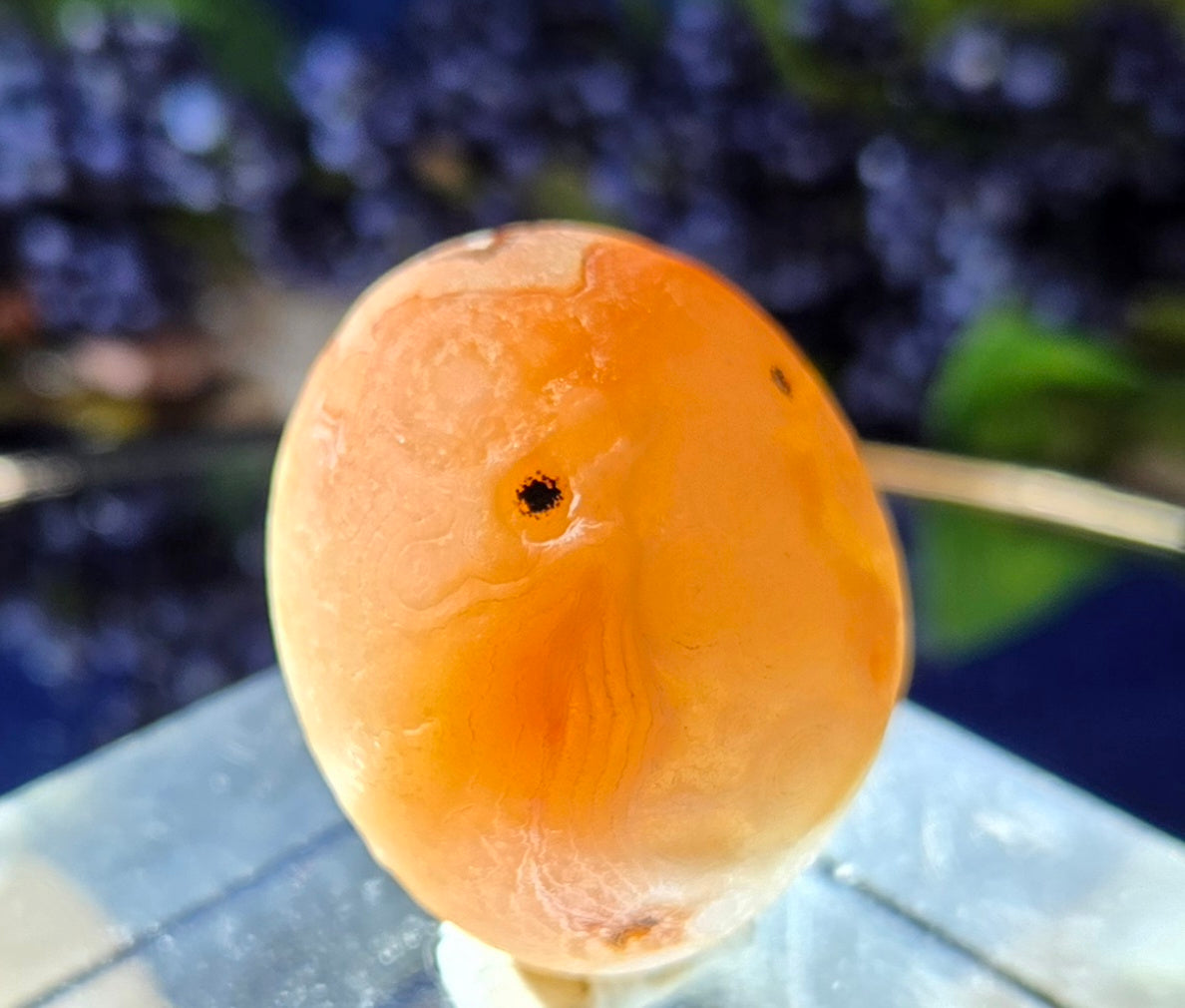 GOBI AGATE