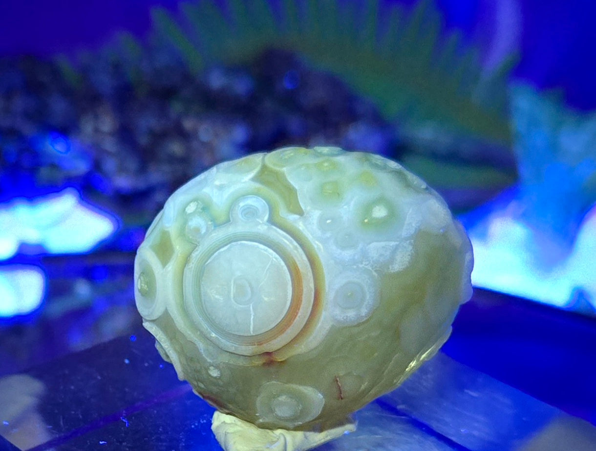 GOBI AGATE