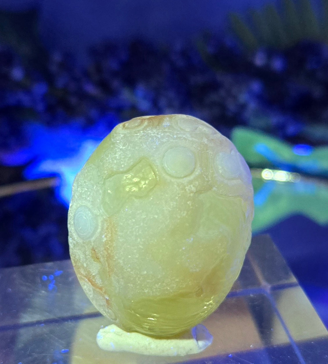 GOBI AGATE