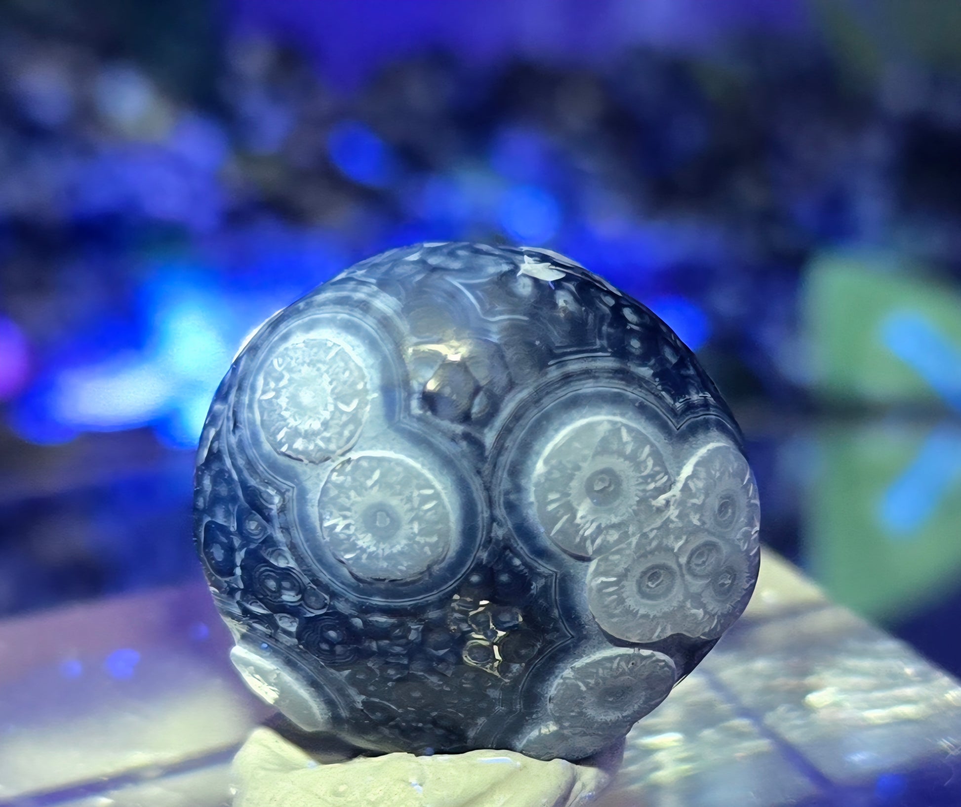 GOBI AGATE