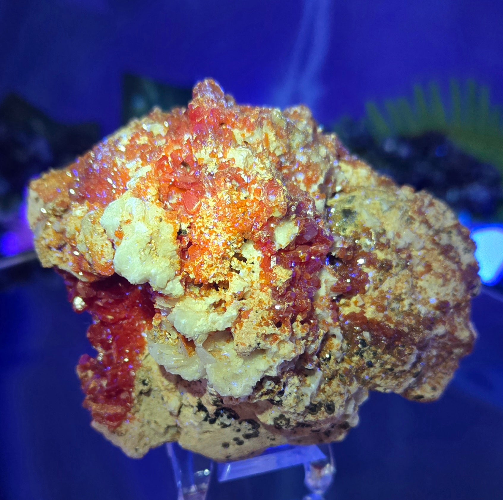 VANADINITE CLUSTER