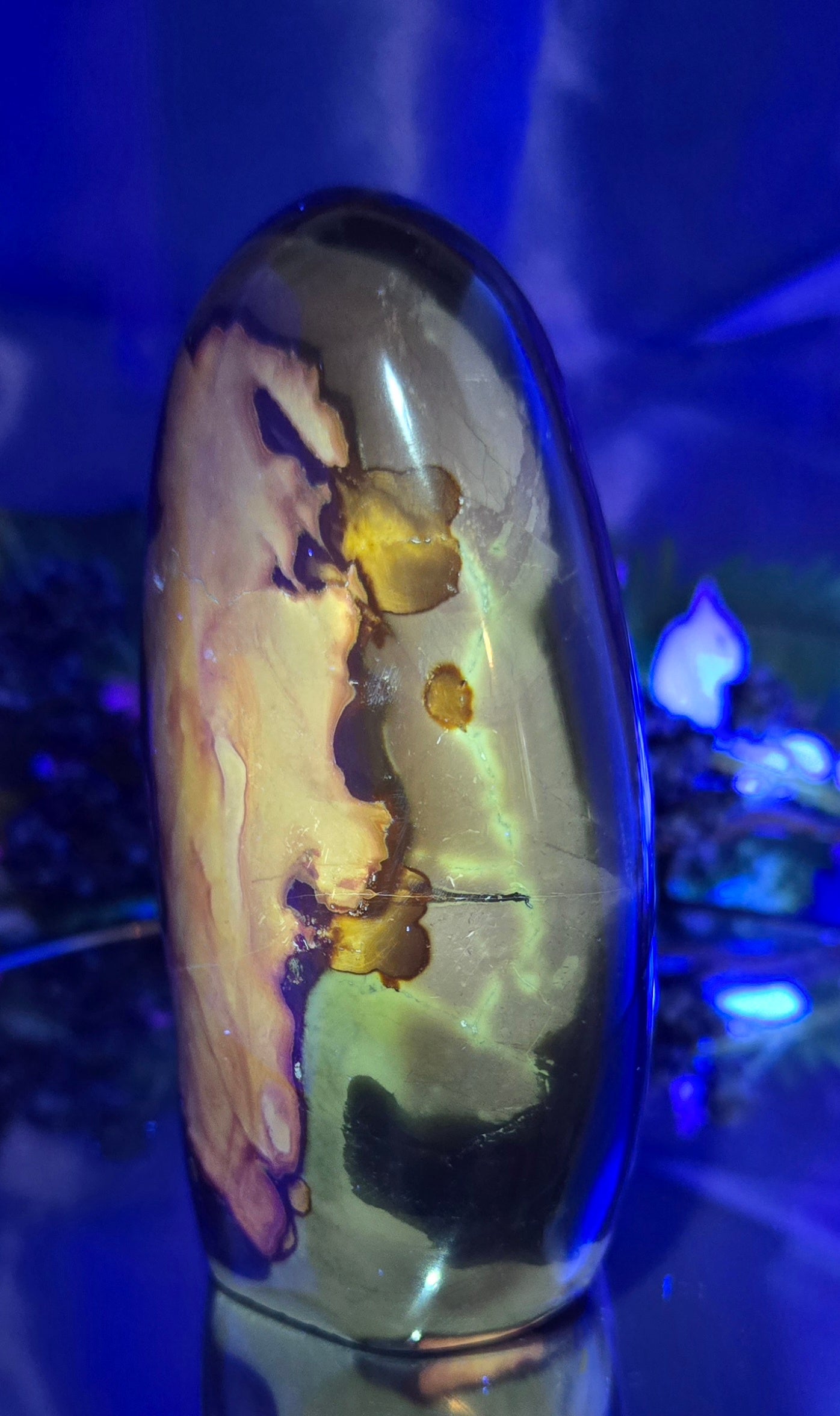 POLYCHROME FREE FORM