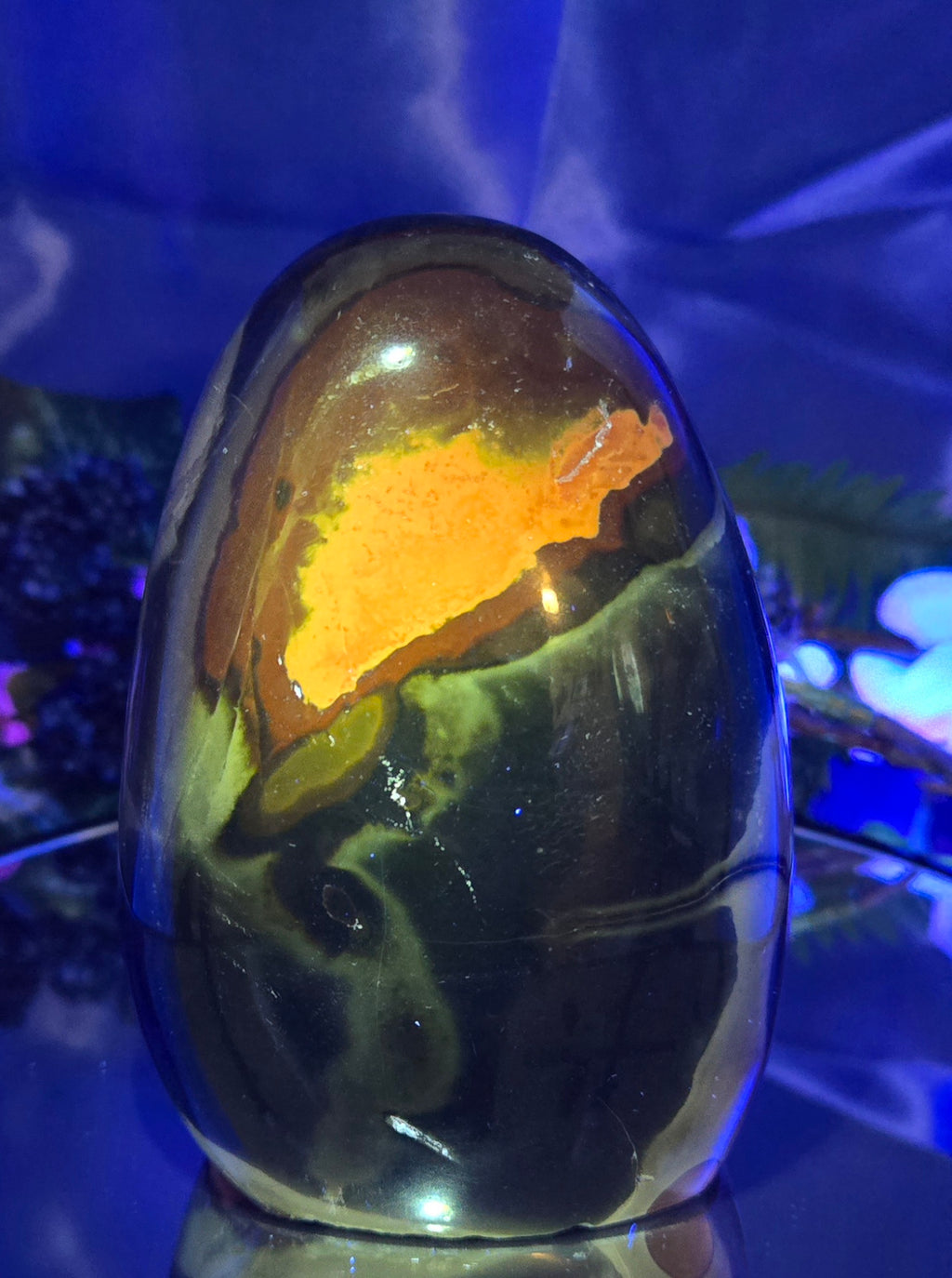 POLYCHROME FREE FORM