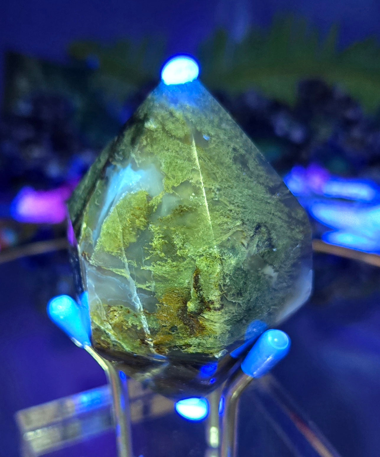MOSS DIAMOND WITH STAND