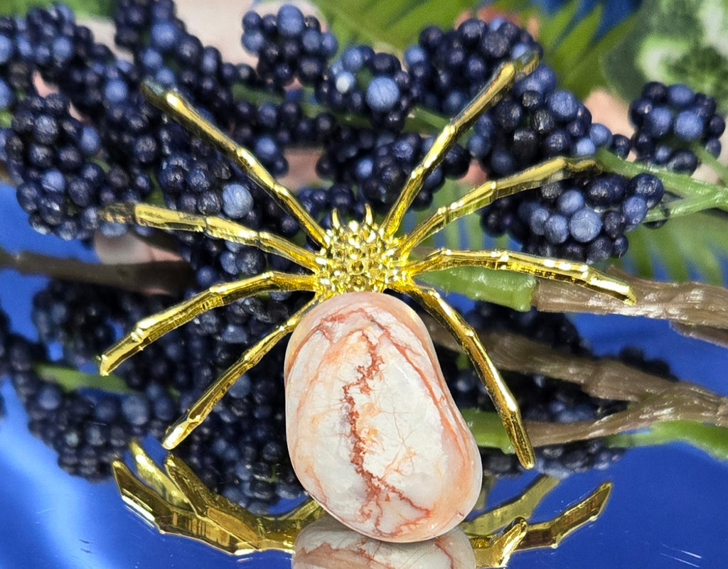 RED VEIN JASPER SPIDER