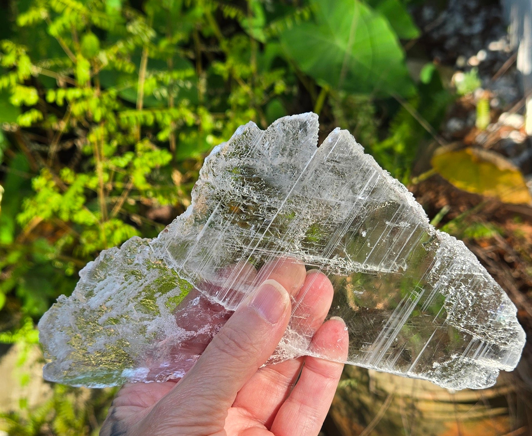 GYPSUM