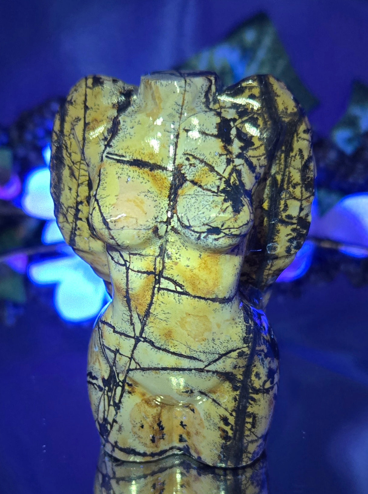 PICTURE JASPER BODY