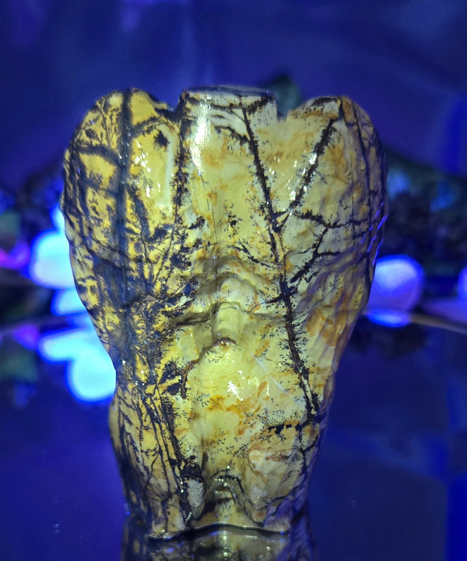 PICTURE JASPER BODY