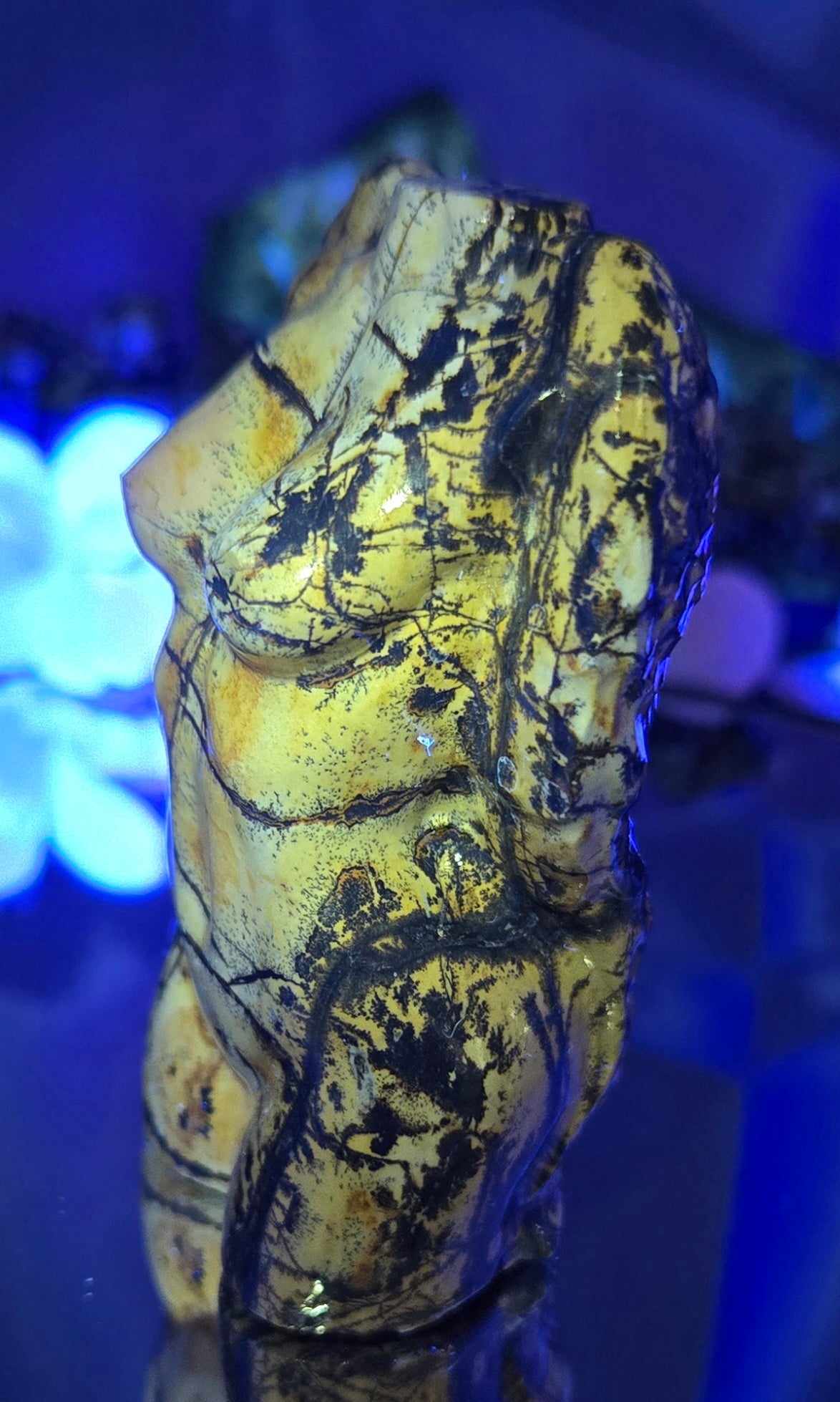 PICTURE JASPER BODY