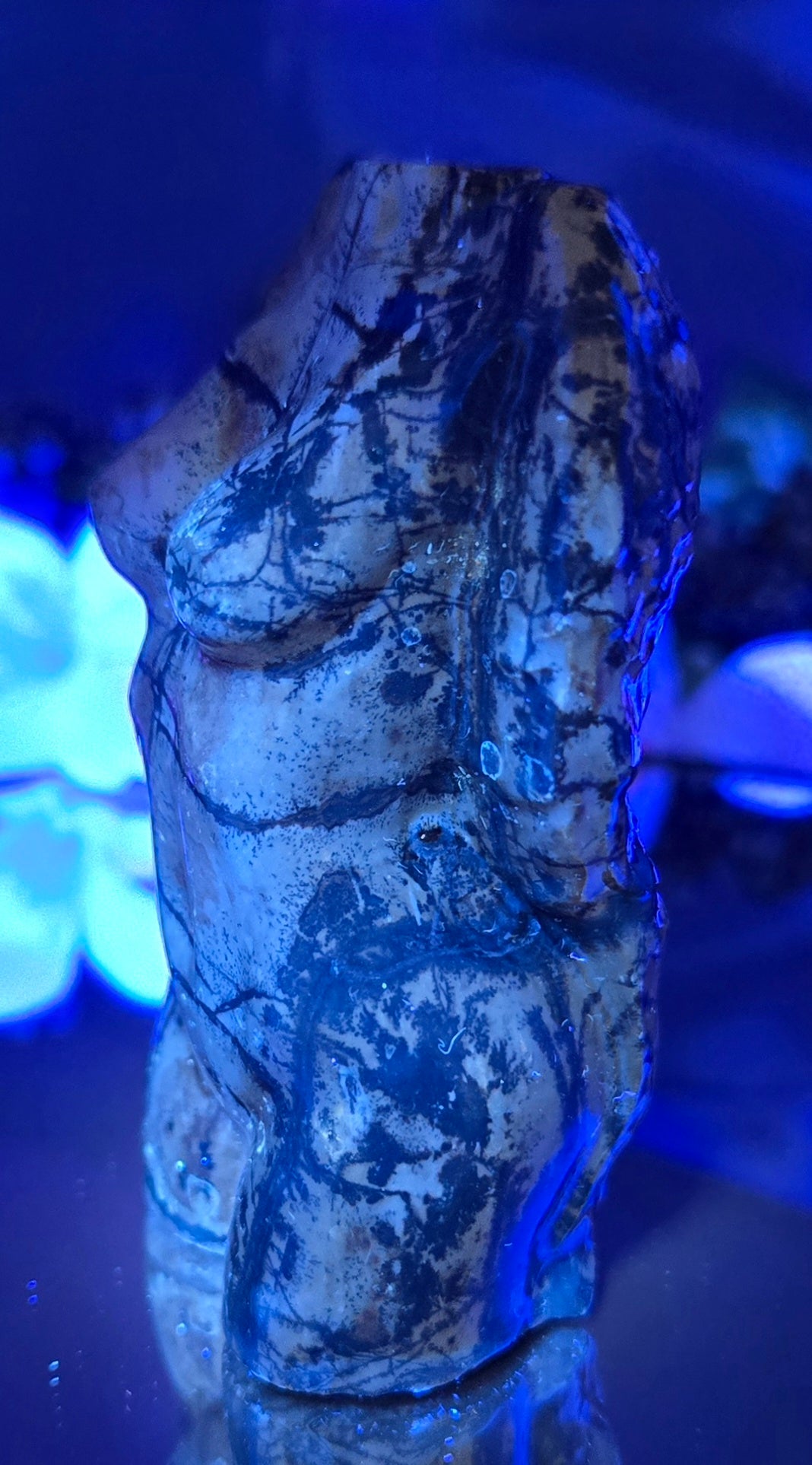 PICTURE JASPER BODY