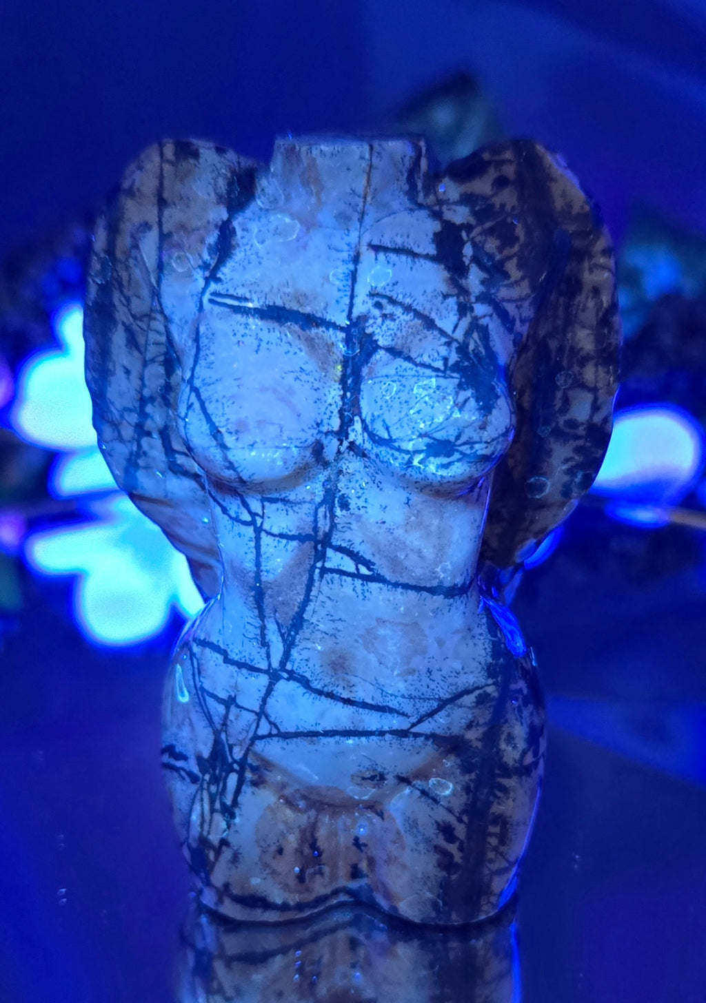 PICTURE JASPER BODY