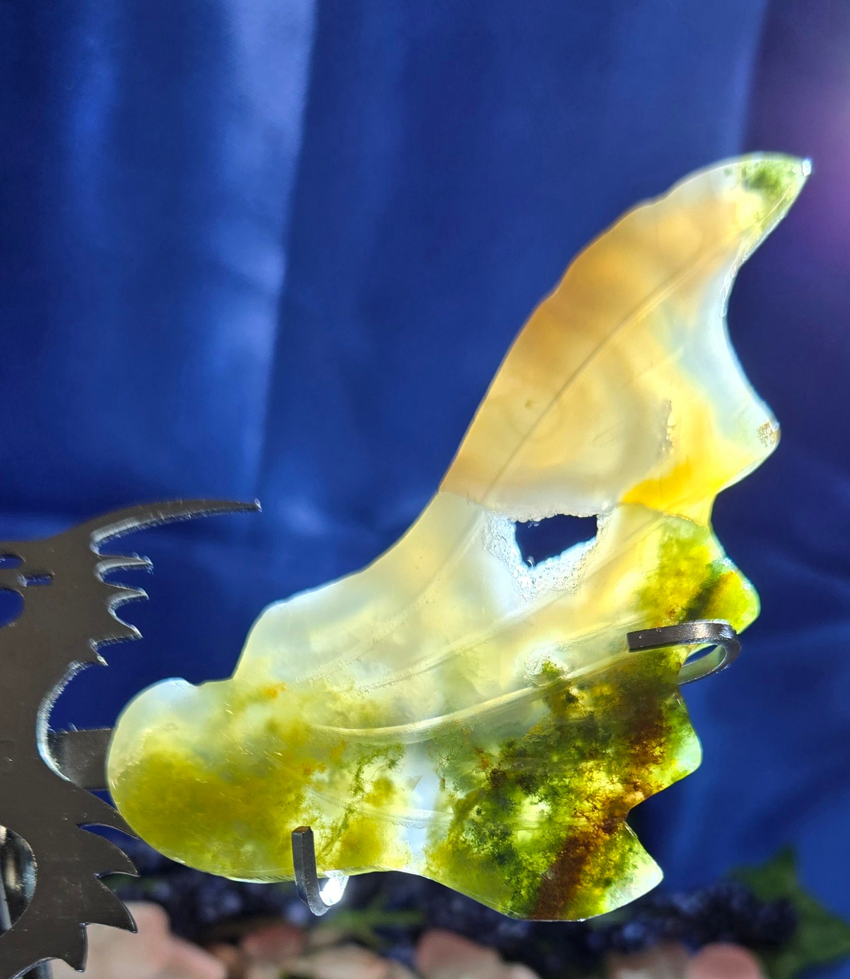 DRAGON WINGS WITH STAND