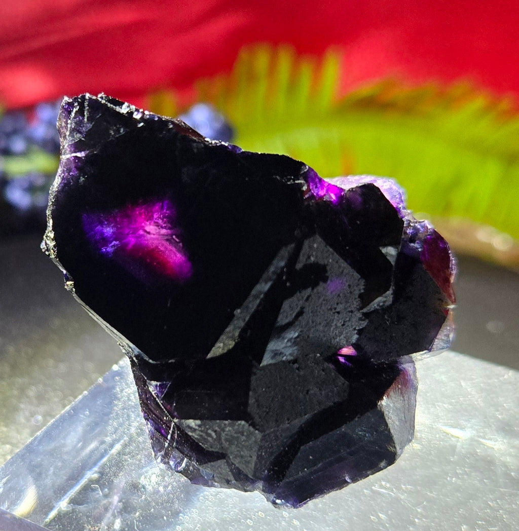 YINDU FLUORITE