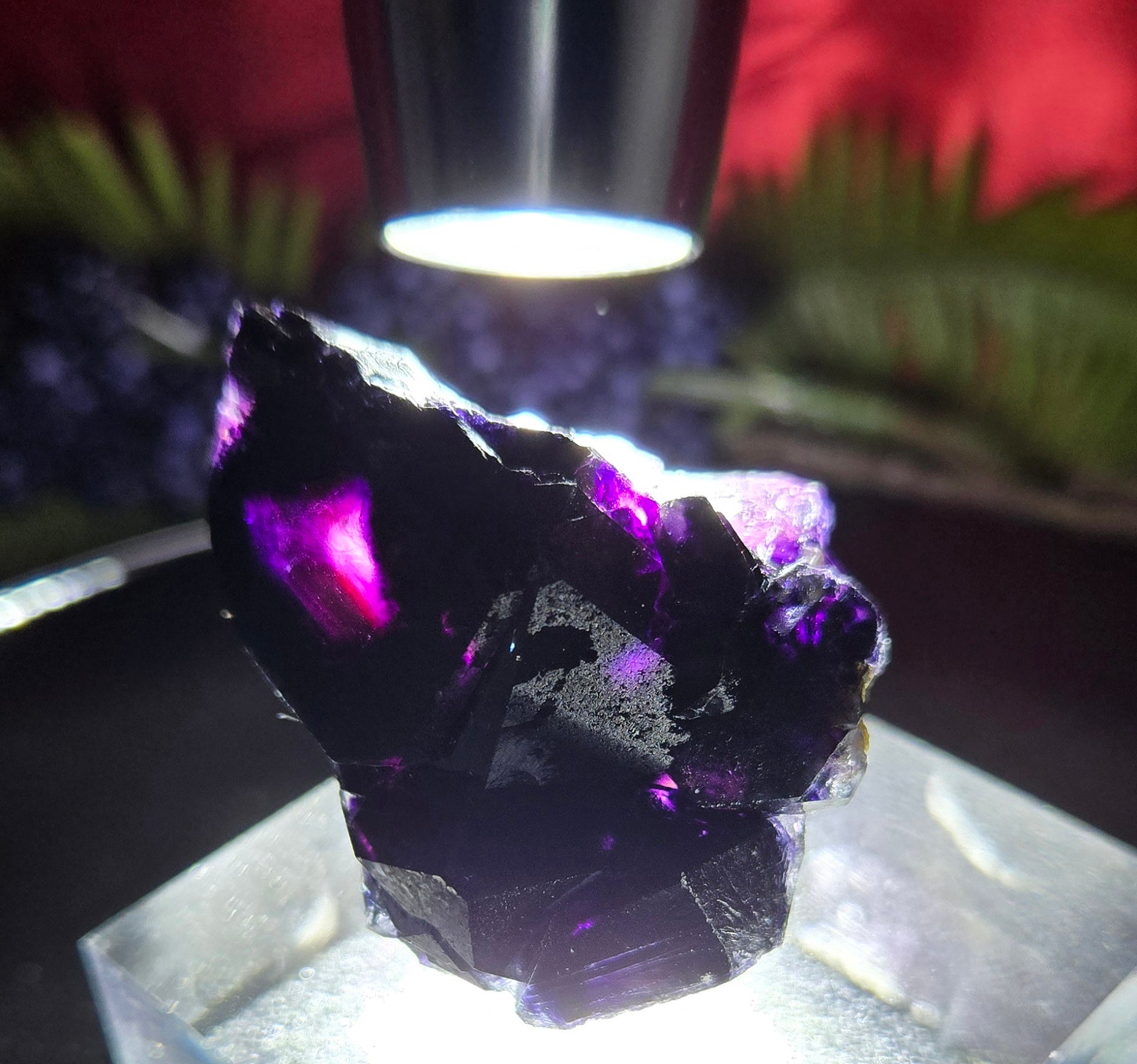 YINDU FLUORITE