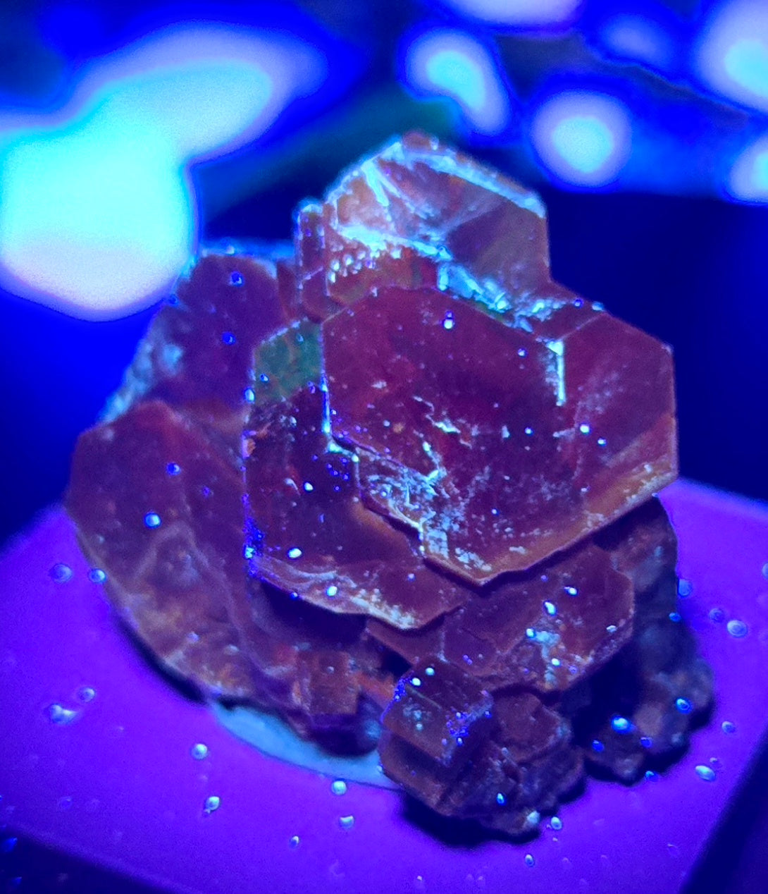 VANADINITE CLUSTER