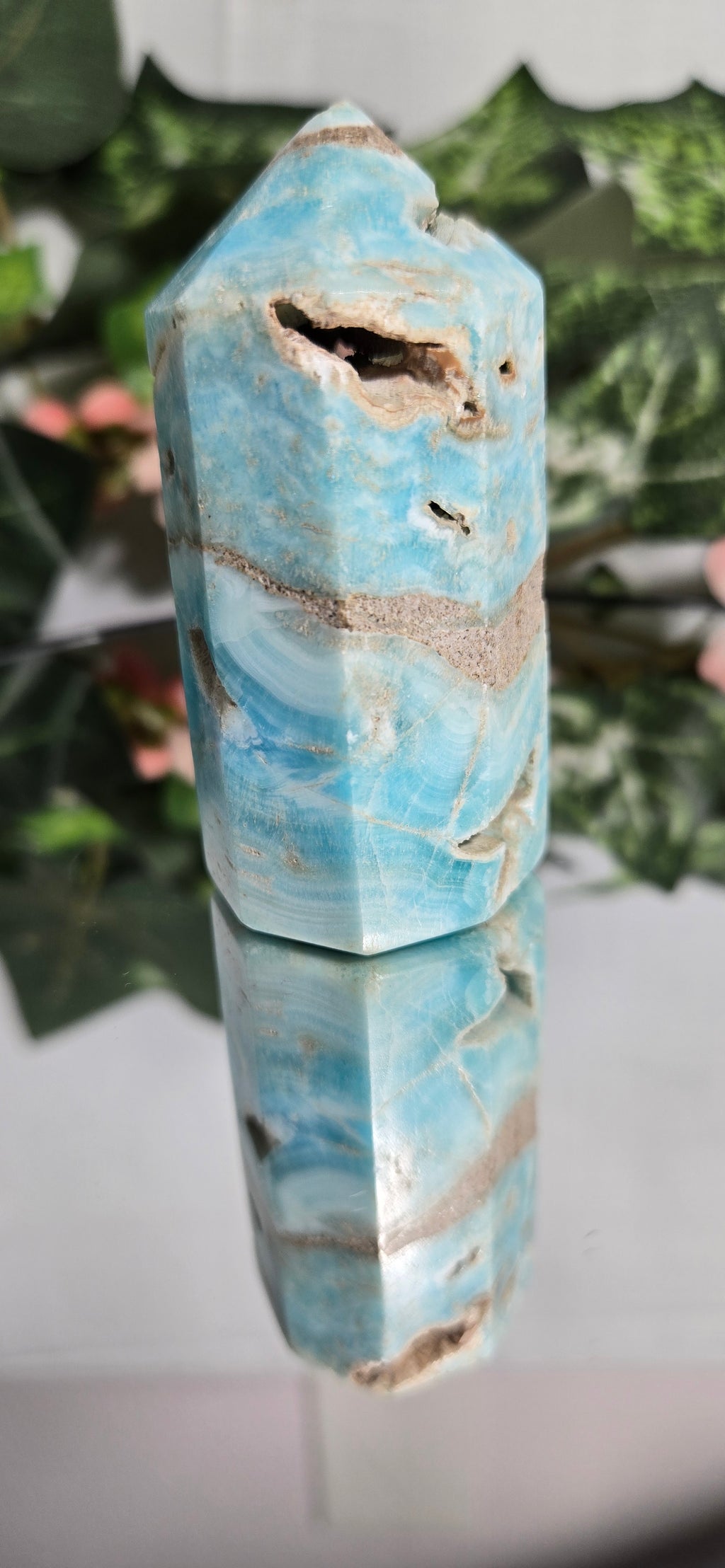 Caribean calcite Tower