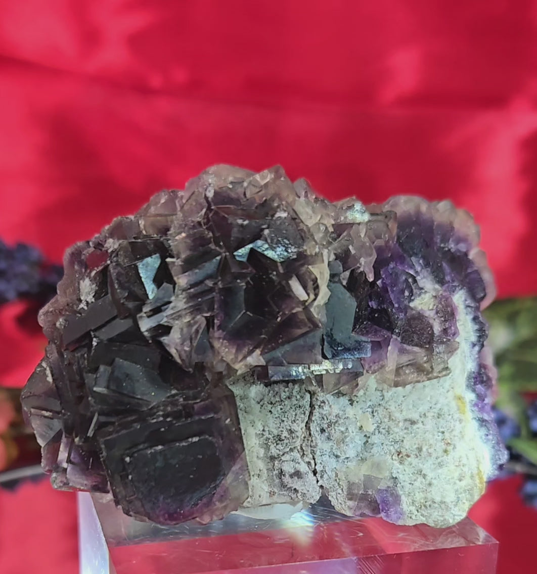 YGX FLUORITE