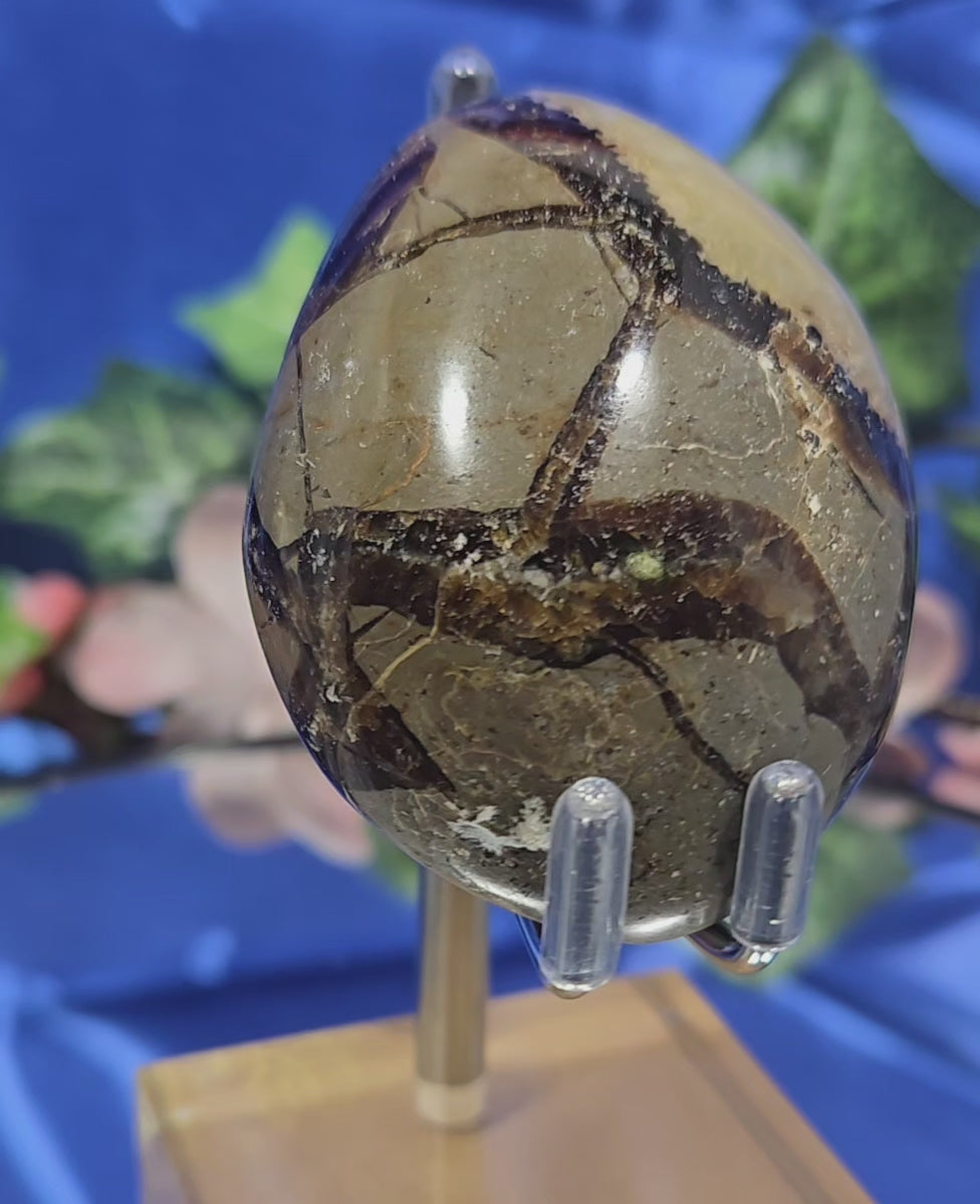 SEPTARIAN PALM STONE