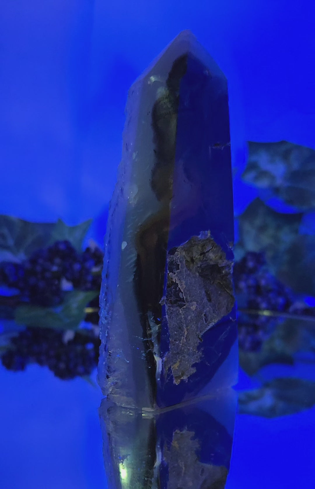 Black Flower Agate