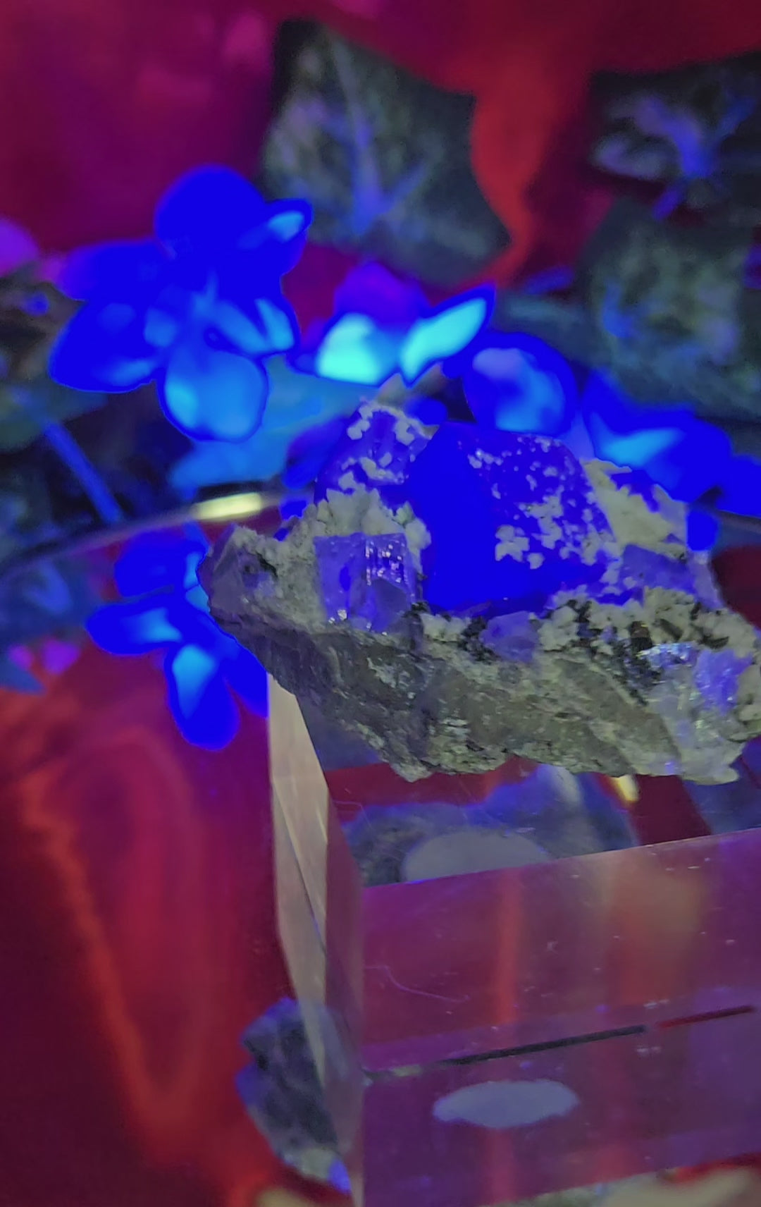 YGX FLUORITE