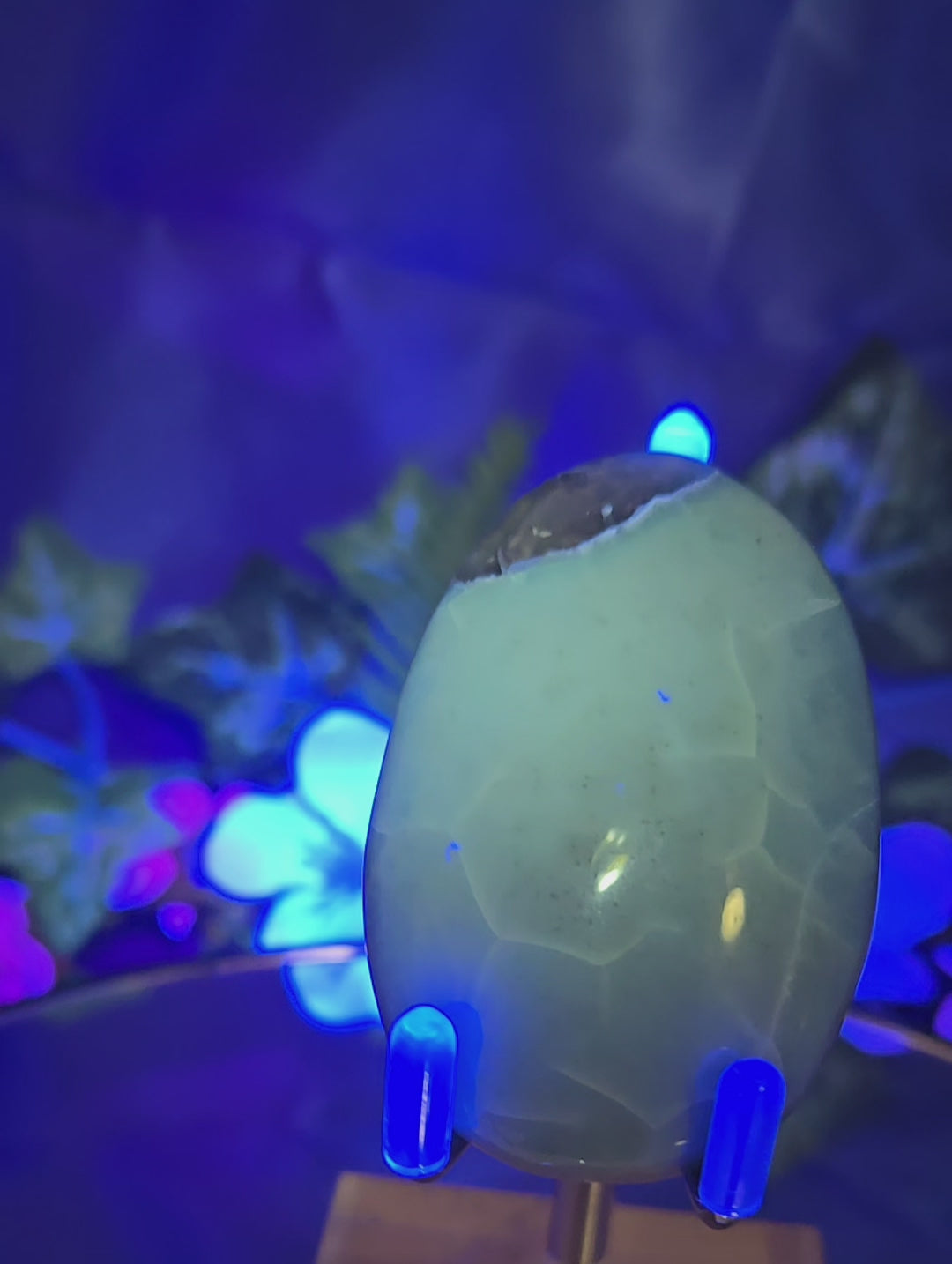 GREEN OPAL PALM STONE