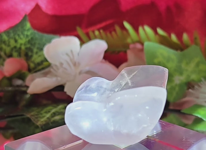 ROSE QUARTZ BUTTERFLY