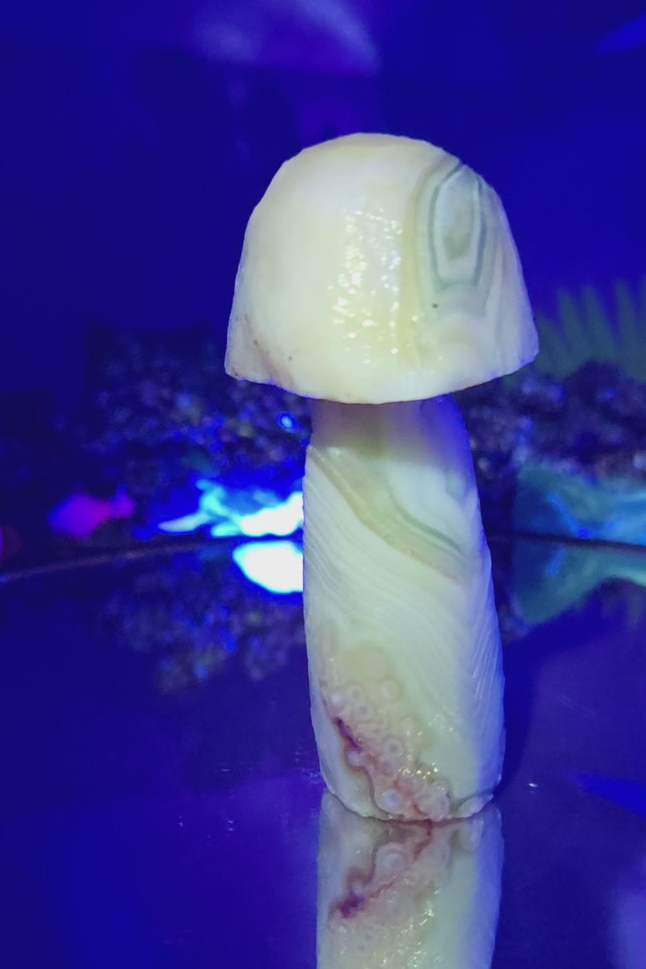 GOBI MUSHROOM AGATE